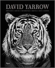 David Yarrow Photography