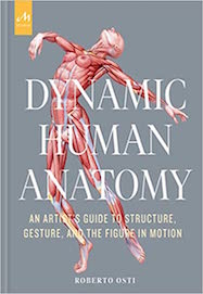 Dynamic Human Anatomy