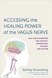 Accessing the Healing Power of the Vagus Nerve