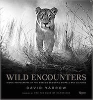 Wild Encounters