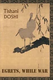 Egrets, While War Egrets, While War