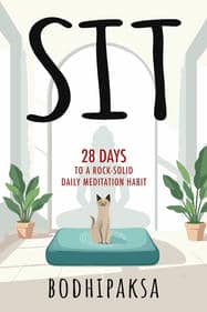 Sit: Twenty-Eight Days to a Rock-Solid Daily Meditation Habit Sit: Twenty-Eight Days to a Rock-Solid Daily Meditation Habit