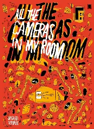 All the Cameras in My Room All the Cameras in My Room